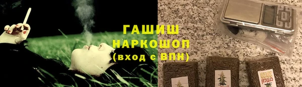 амф Каменка